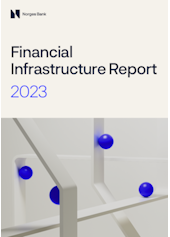 Coverimage of the publication Financial infrastructure 2023