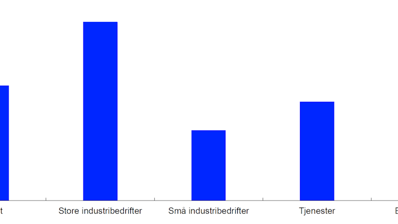 Figur som viser at nesten 40 prosent av bedriftene, og særlig store industribedrifter, sier at klimarelaterte investeringer bidrar til høyere investeringer i egen bedrift