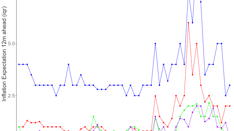 Interquartile range (75th percentile minus 25th percentile) of 12 month ahead inflation expectations for different groups of agents. Households beliefs about future inflation are more dispersed than firms’ and experts’. Disagreement in expectations has risen substantially for both households and firms after the COVID-19 pandemic.