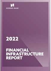 Coverimage of the publication Financial Infrastructure Report 2022