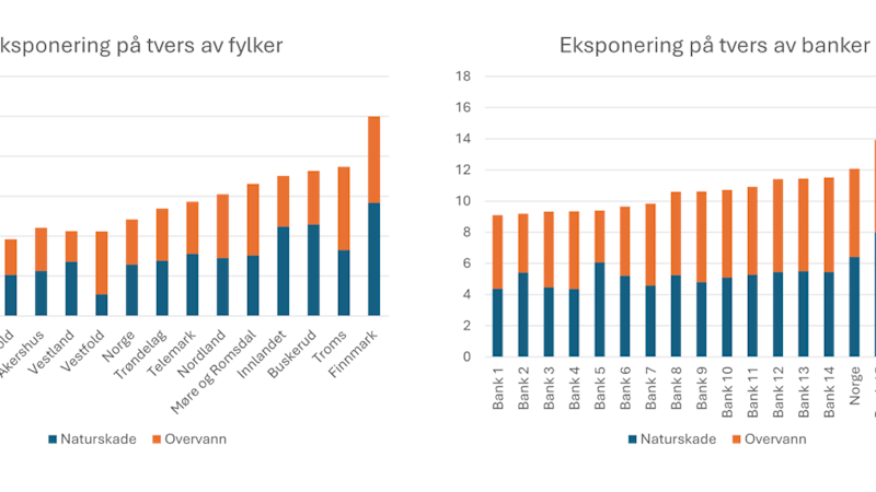 Figuren viser andelen av verdiene til eneboliger og småhus som andel av verdien av alle boliger, hhv. Som andel av samlede boligverdier i et fylke eller som samlede boligverdier i en av de 18 største bankene i Norge. Figuren viser at det er stor forskjell på eksponeringen mot boliger med høy risiko på tvers av fylker og banker. Et flertall av bankene har imidlertid mindre eksponering enn Norge som helhet. Alle boliger inkluderer også ikke pantsatte boliger. 