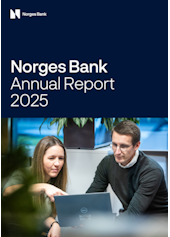 Coverimage of the publication Annual Report 2025