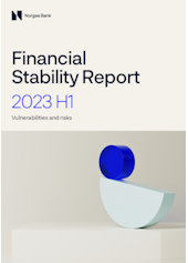 Coverimage of the publication Financial Stability Report – 2023 H1