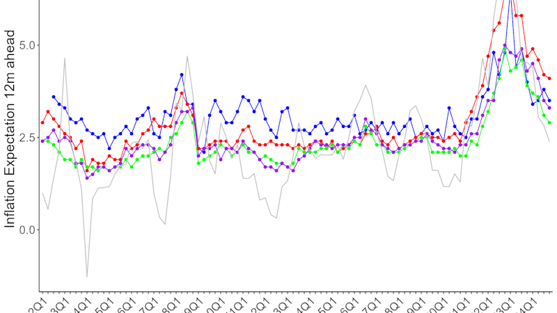 Average inflation expectations (12 months ahead) for different groups of agents as measured by the Norges Bank Expectations Survey. The grey line in (a) indicates year-over-year CPI inflation. Before the recent inflation surge households had the highest inflation expectations, followed by firms. Starting in 2021, firms’ expectations have exceeded those of households. Experts have the lowest expectation throughout the whole sample. 